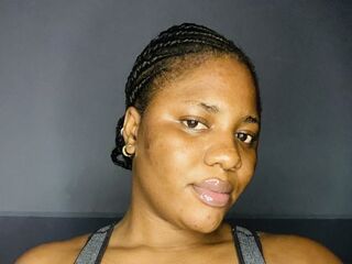 Elaraa